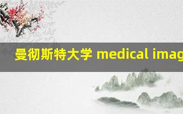 曼彻斯特大学 medical imaging